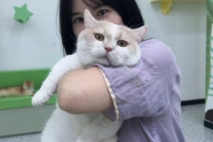 抱着猫